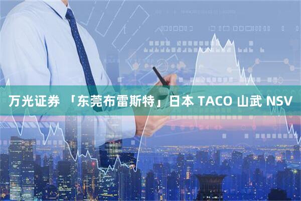 万光证券 「东莞布雷斯特」日本 TACO 山武 NSV