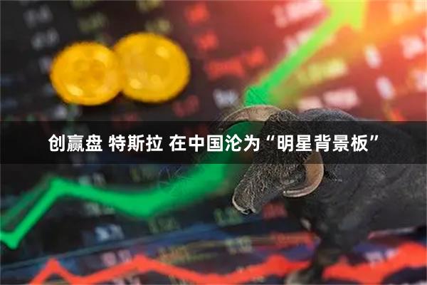 创赢盘 特斯拉 在中国沦为“明星背景板”