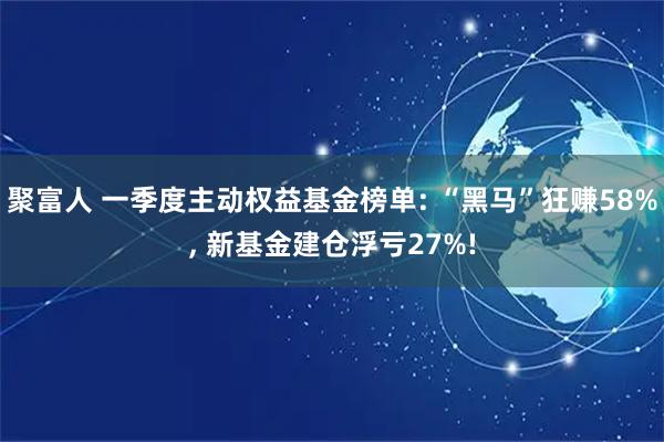 聚富人 一季度主动权益基金榜单: “黑马”狂赚58%, 新基金建仓浮亏27%!