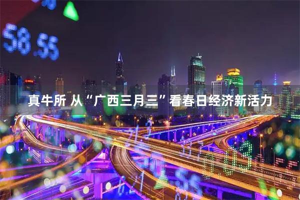 真牛所 从“广西三月三”看春日经济新活力