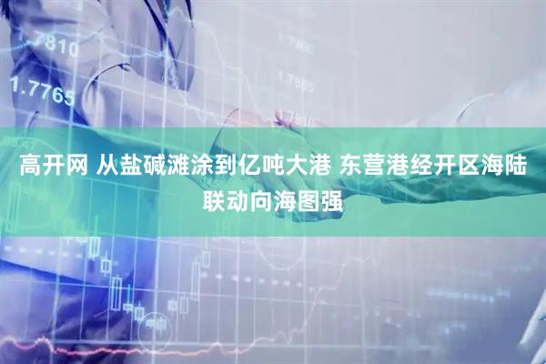 高开网 从盐碱滩涂到亿吨大港 东营港经开区海陆联动向海图强